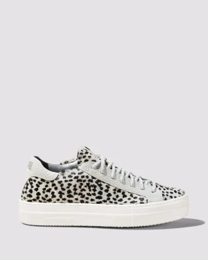 Hot Thea Snow/Leopard Women Platforms | Low Tops